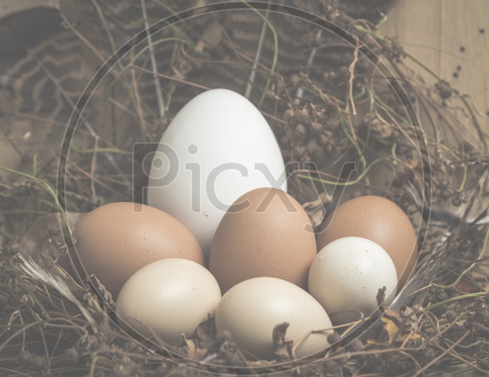 Easter concept with eggs on a wooden background, vintage filtered Images