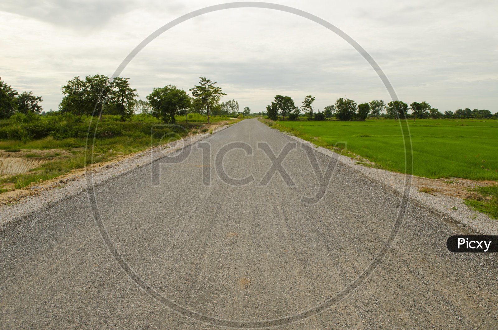 An Empty countryside road in Thailand