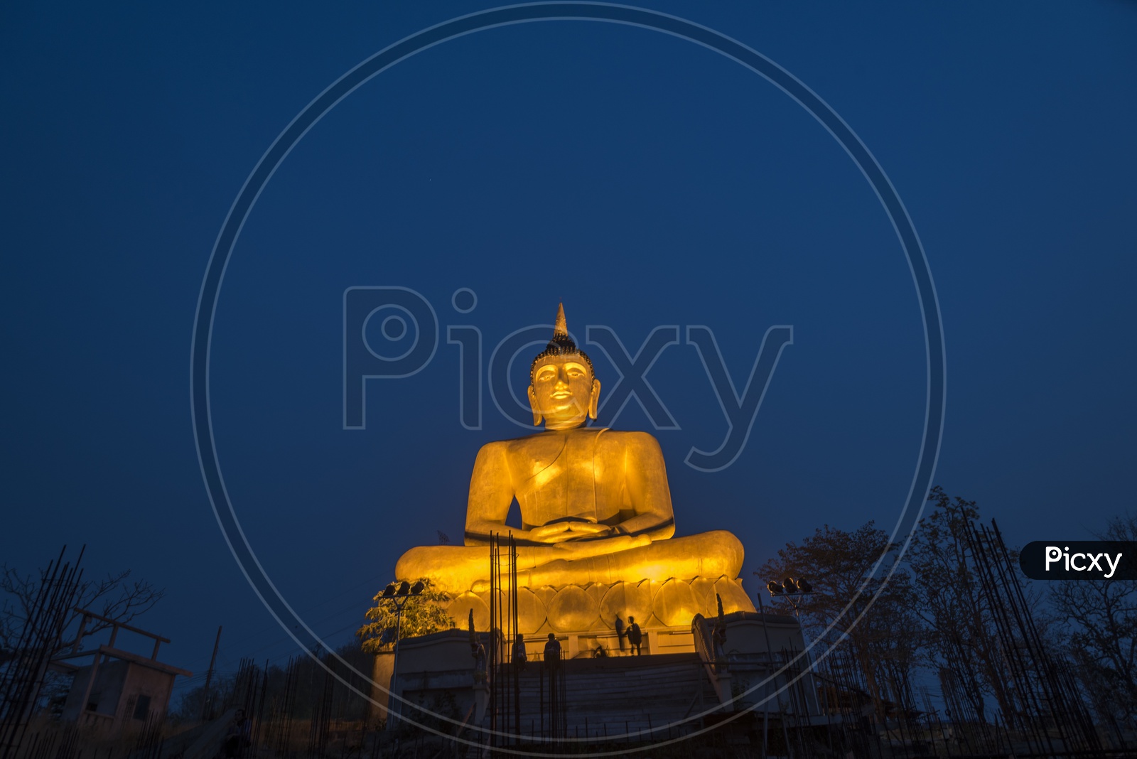 Giant Buddha Statue in Thailand during night