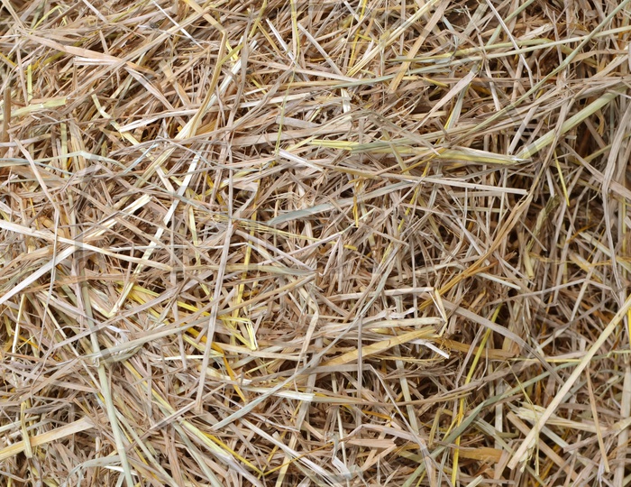 straw and hay texture background