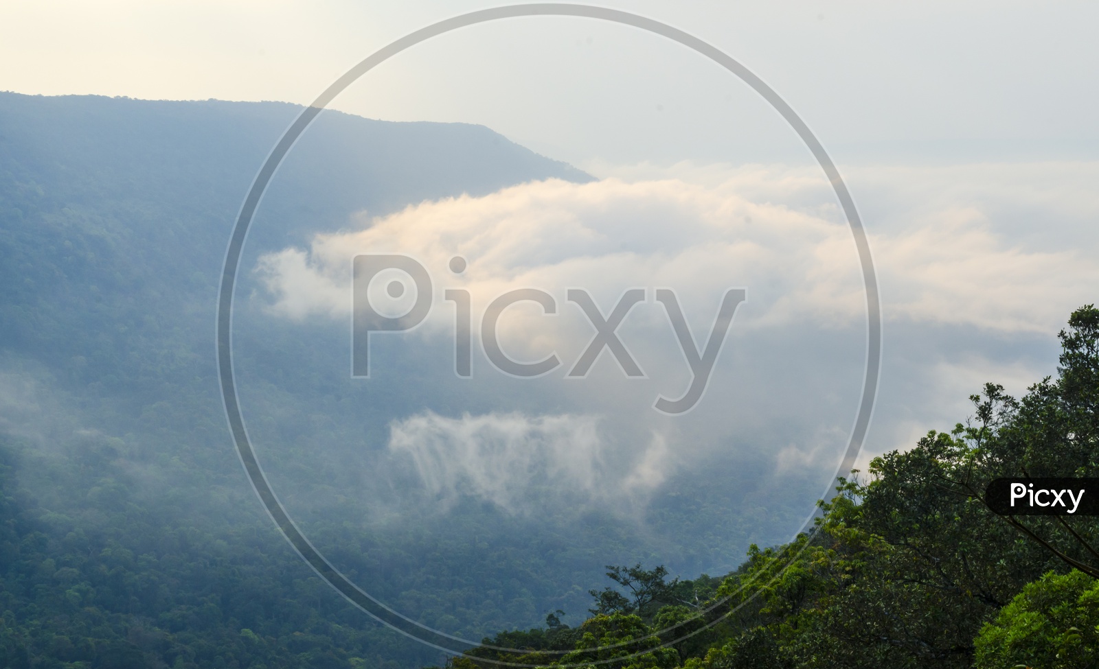 Panorama View Pha Deaw Dai Cliffs of The Khao Yai National Park in Thailand