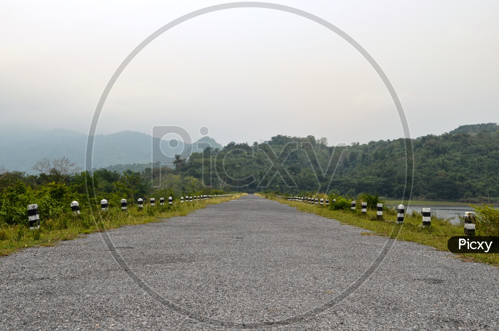 old road surface with nature Background