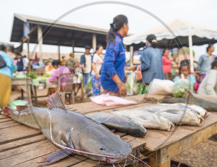 A Laos fish for sale in Luang Prabang Morning Market, Laos