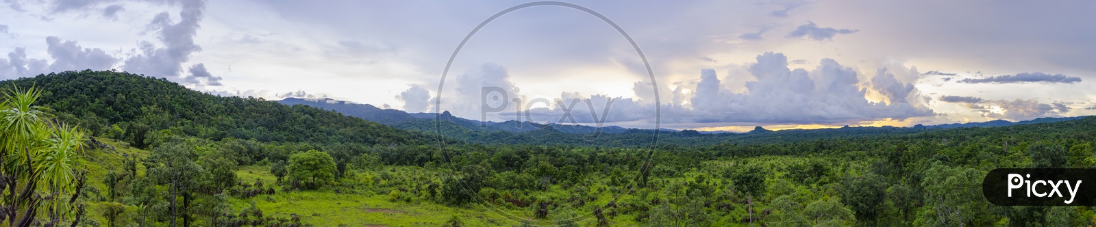 panorama of the western forest complex, Thailand