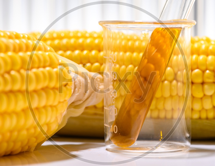 A natural product extract from Corn in the chemistry laboratory