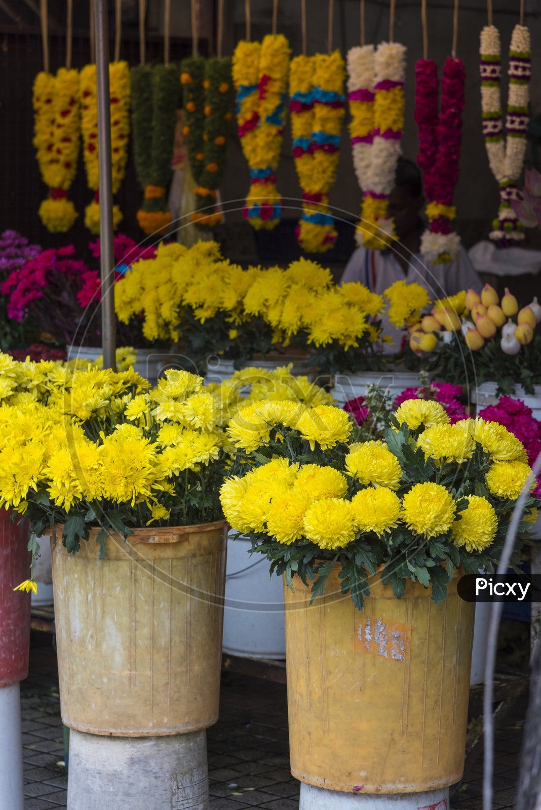 Yellow flowers in a flower-stall in Thailand