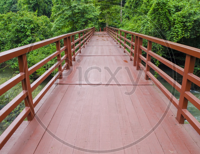 A Wooden Bridge through the tropical forest in Khao Yai National Park, Thailand