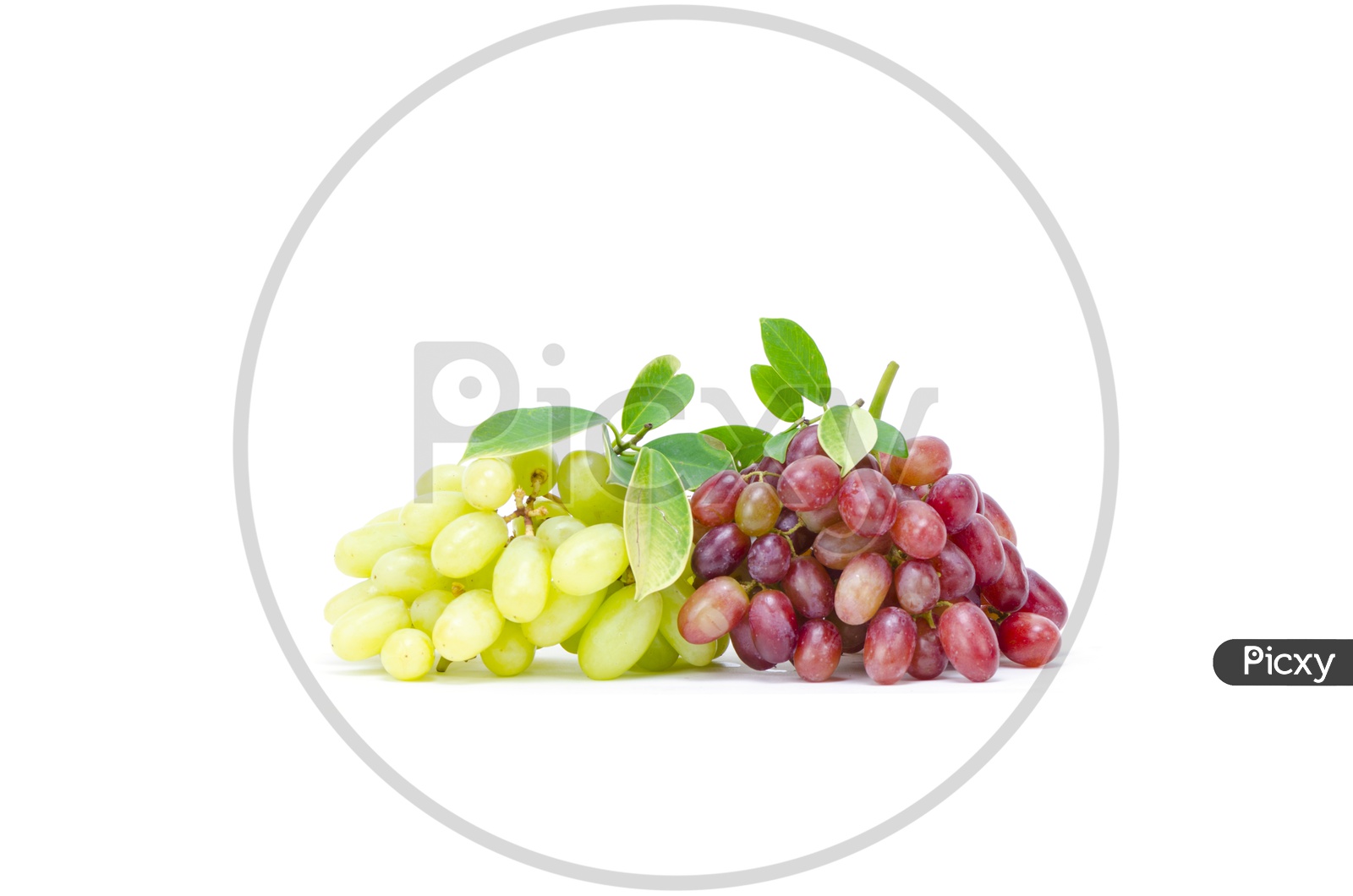 Green and red ripe grape isolated on the white background