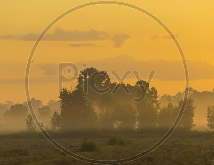 Agriculture Fields with Sunset in Background