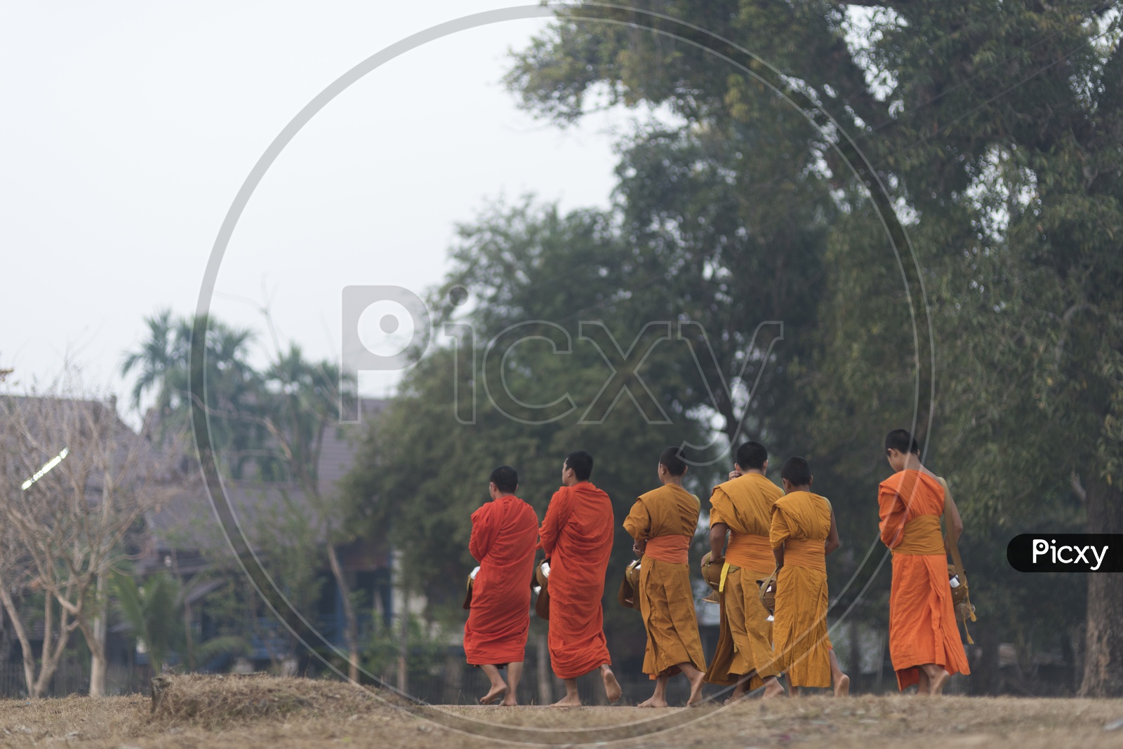 Traditional Alms buddhist monks on the streets of Luang Prabang, Laos