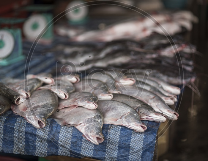 Escolar fish in  Luang Prabang Morning Market in Laos.