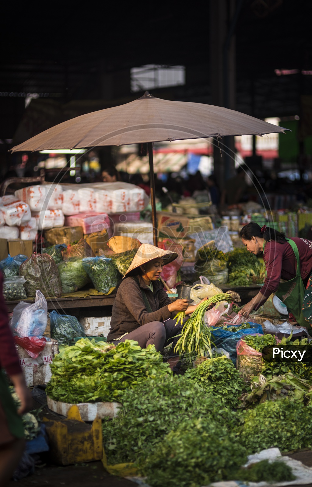 A Loas Vegetables Market vendor in Luang Prabang Morning Market in Laos.