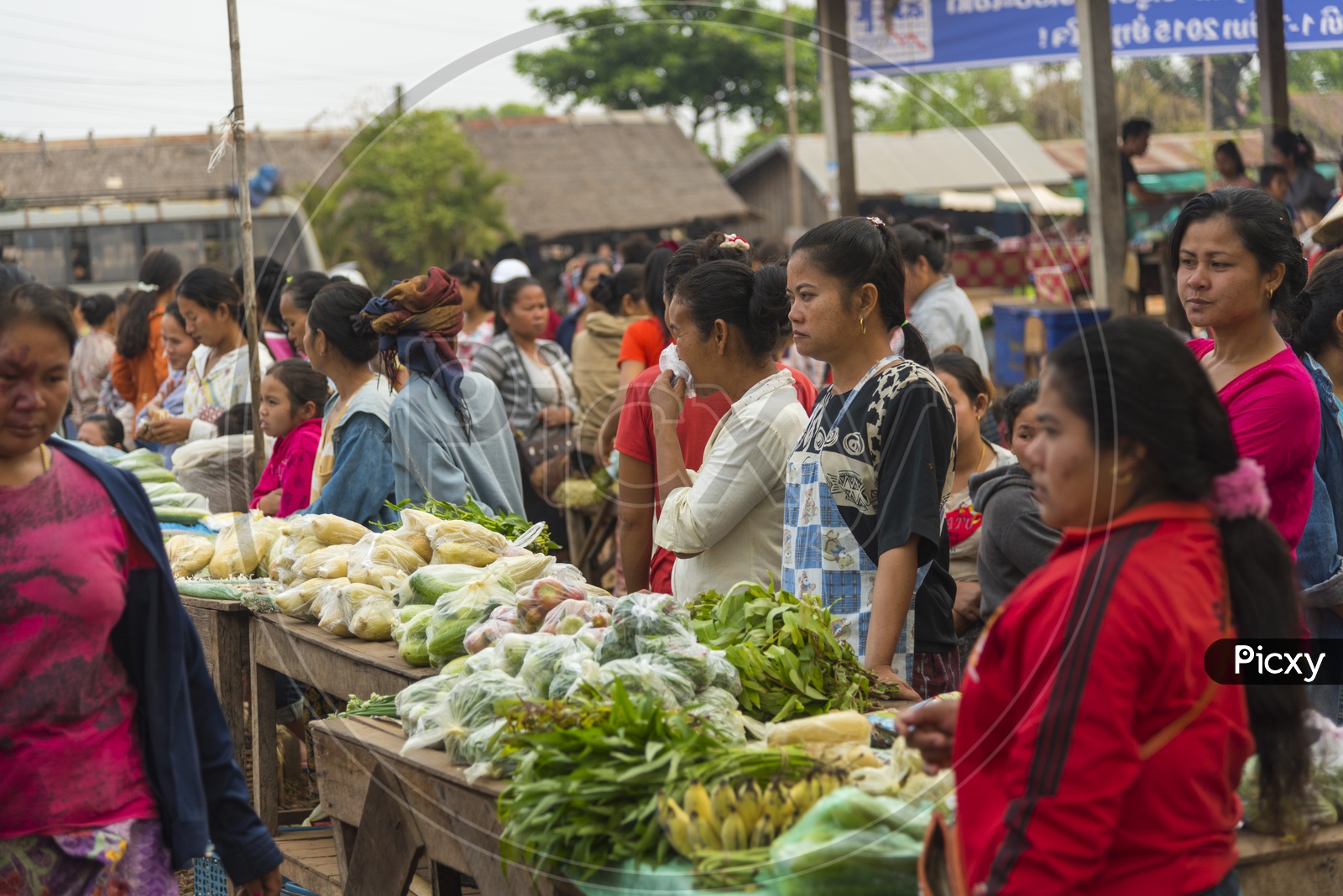 Vegetable stall in Luang Prabang Morning Market, Laos