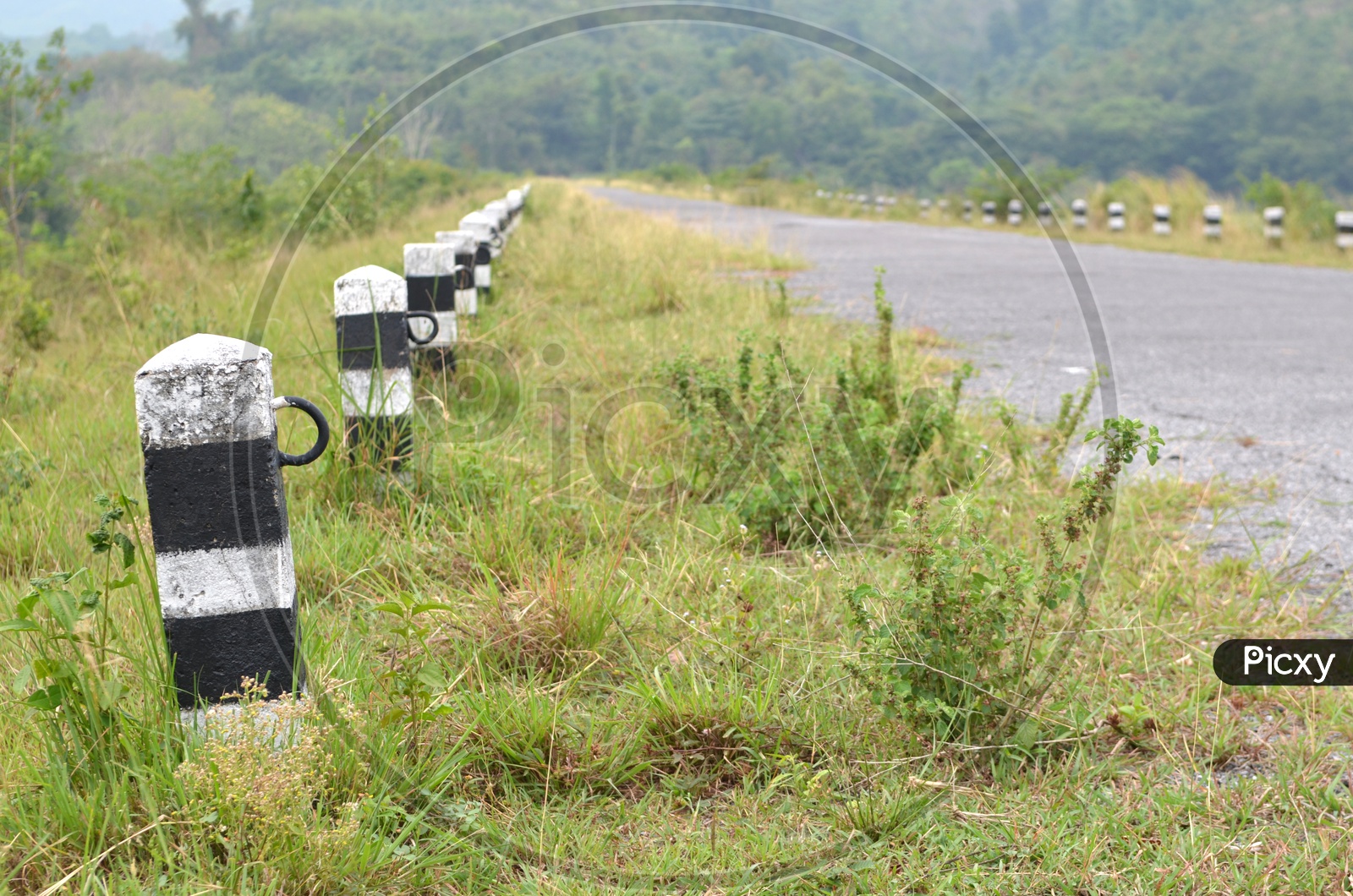 Safety Railing Pillars On a Road Side