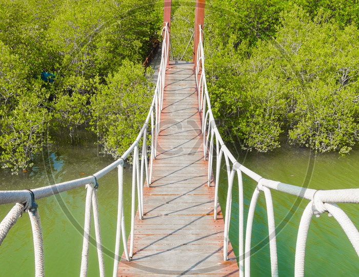 A Suspension bridge walkway in Bali mangrove forest,