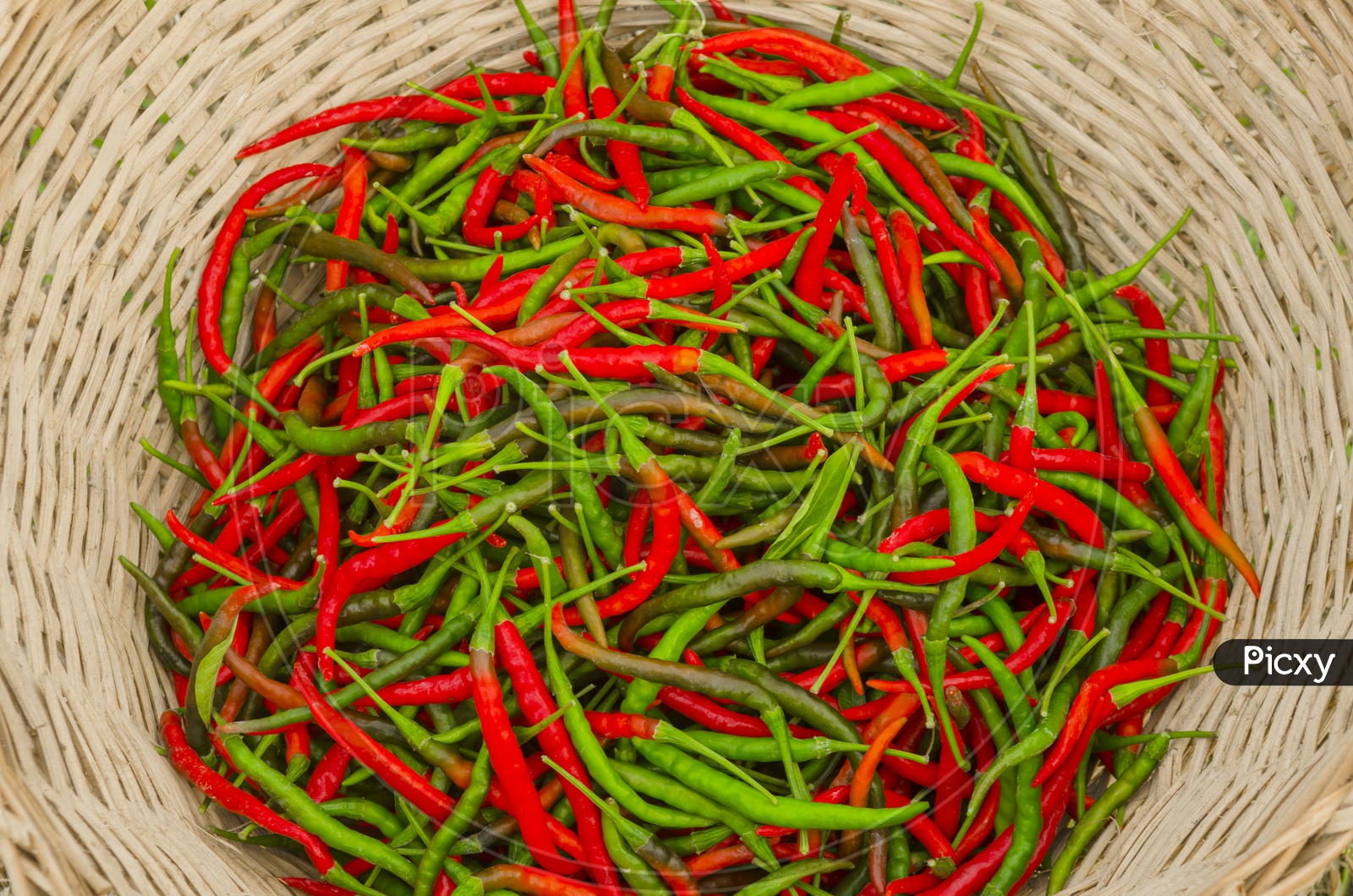 Mix of green and red chilli
