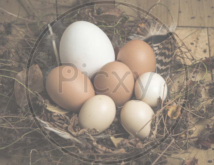 Easter eggs in a basket with wood background, vintage filtered Images