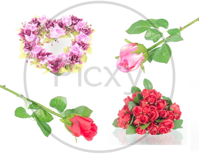 Illustration Of Colourful Flowers Over an Isolated White Background