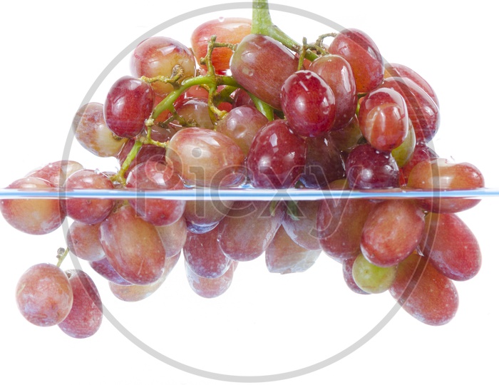 Fresh Red Grapes Dropped Into Water With Splash  Over an Isolated White Background