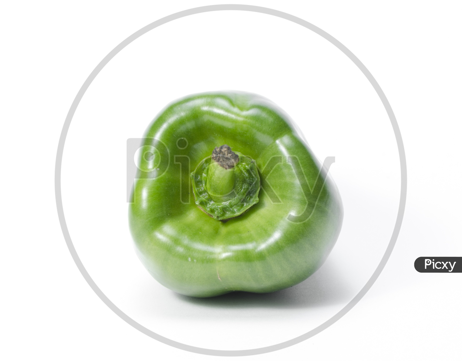 green capsicum or sweet pepper on white background