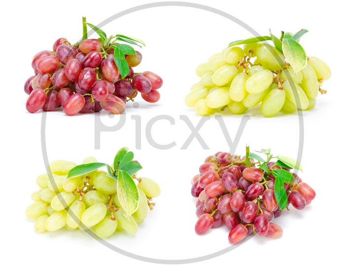 Fresh Green And Red Grapes Illustration on an Isolated White Background