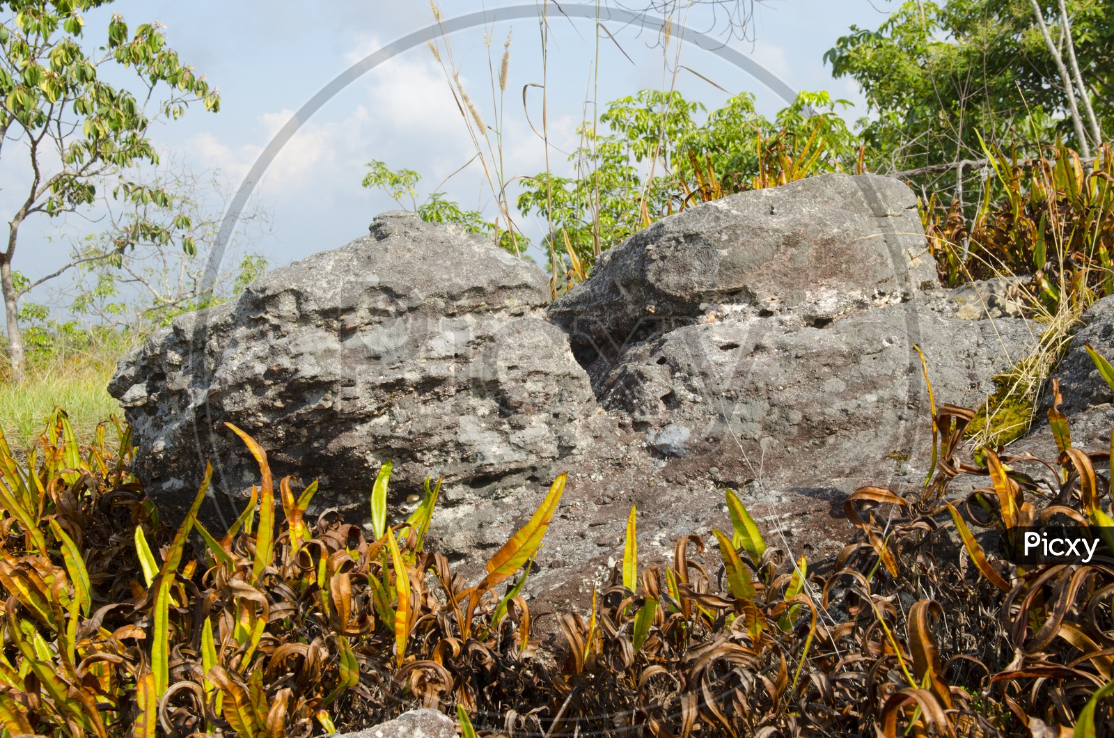 Stone yard in Phu Hin Rong Kla National Park