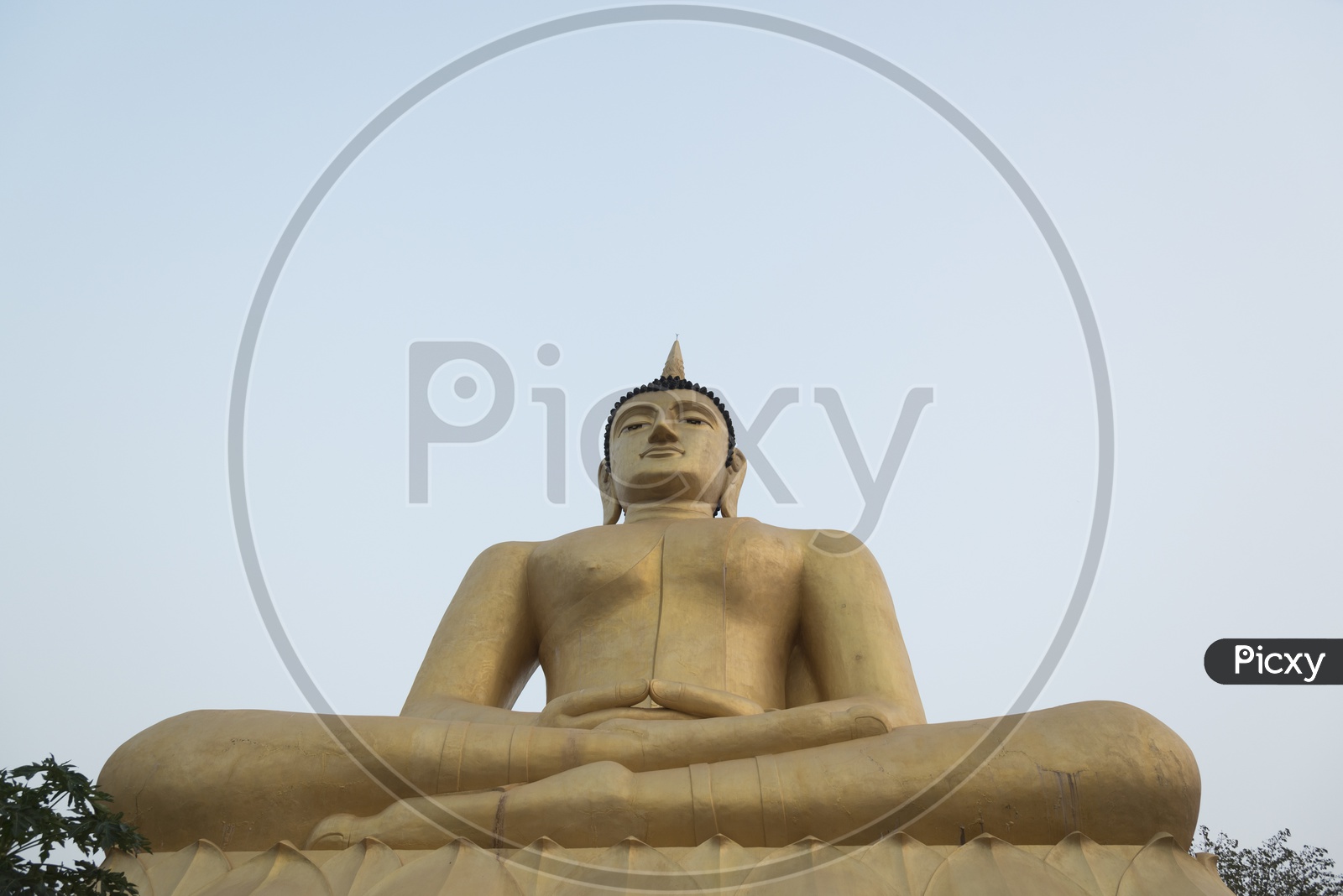 A Giant Buddha Statue in Thailand