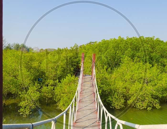 A Suspension bridge in mangrove forest of Bali during morning