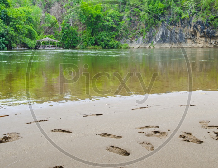 Footsteps alongside a Stream in the tropical forest.