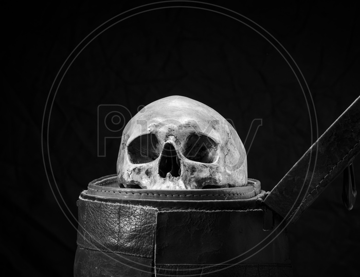 human skull placed in the old leather box