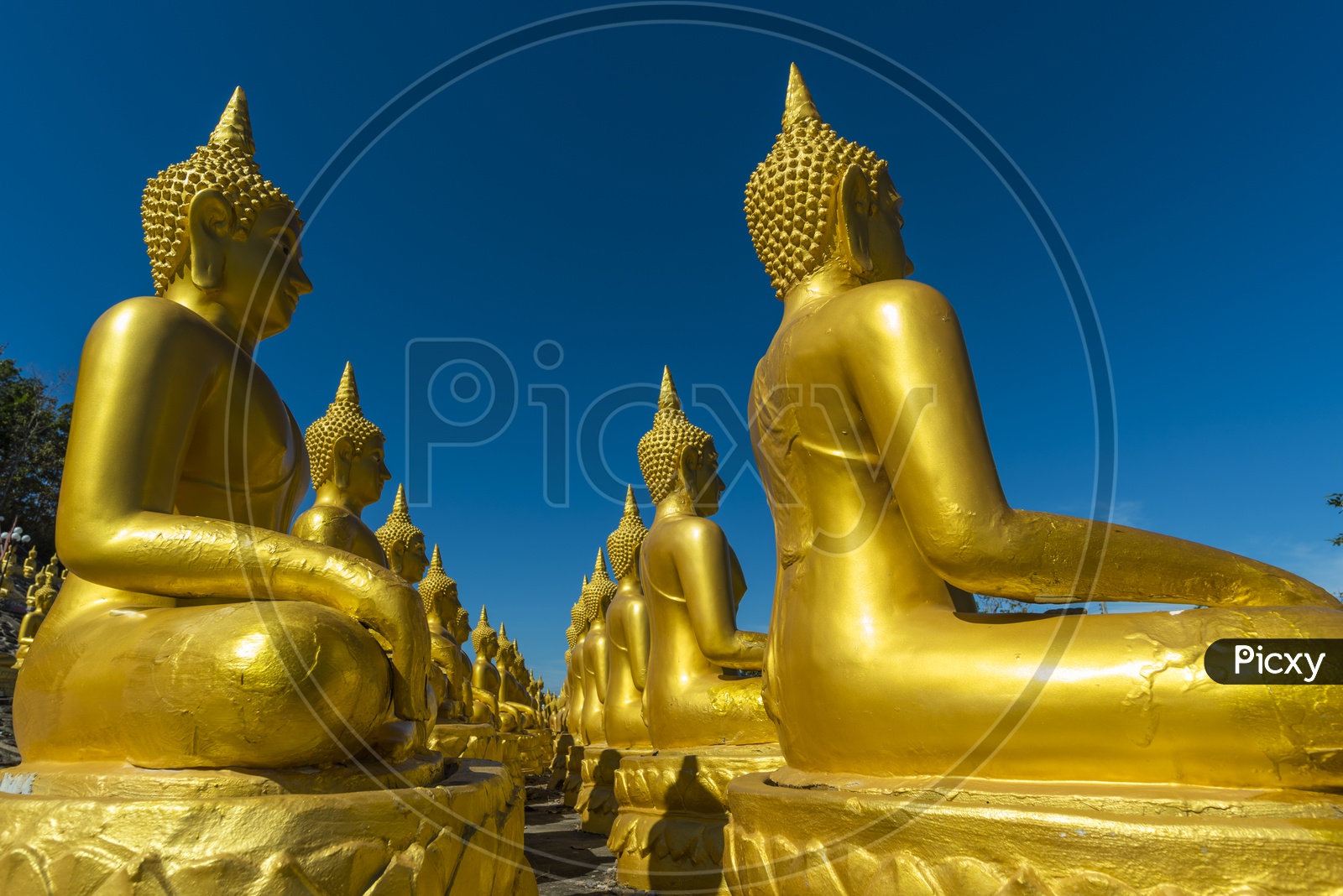 Big Buddha Statue in the temple of Mekong River