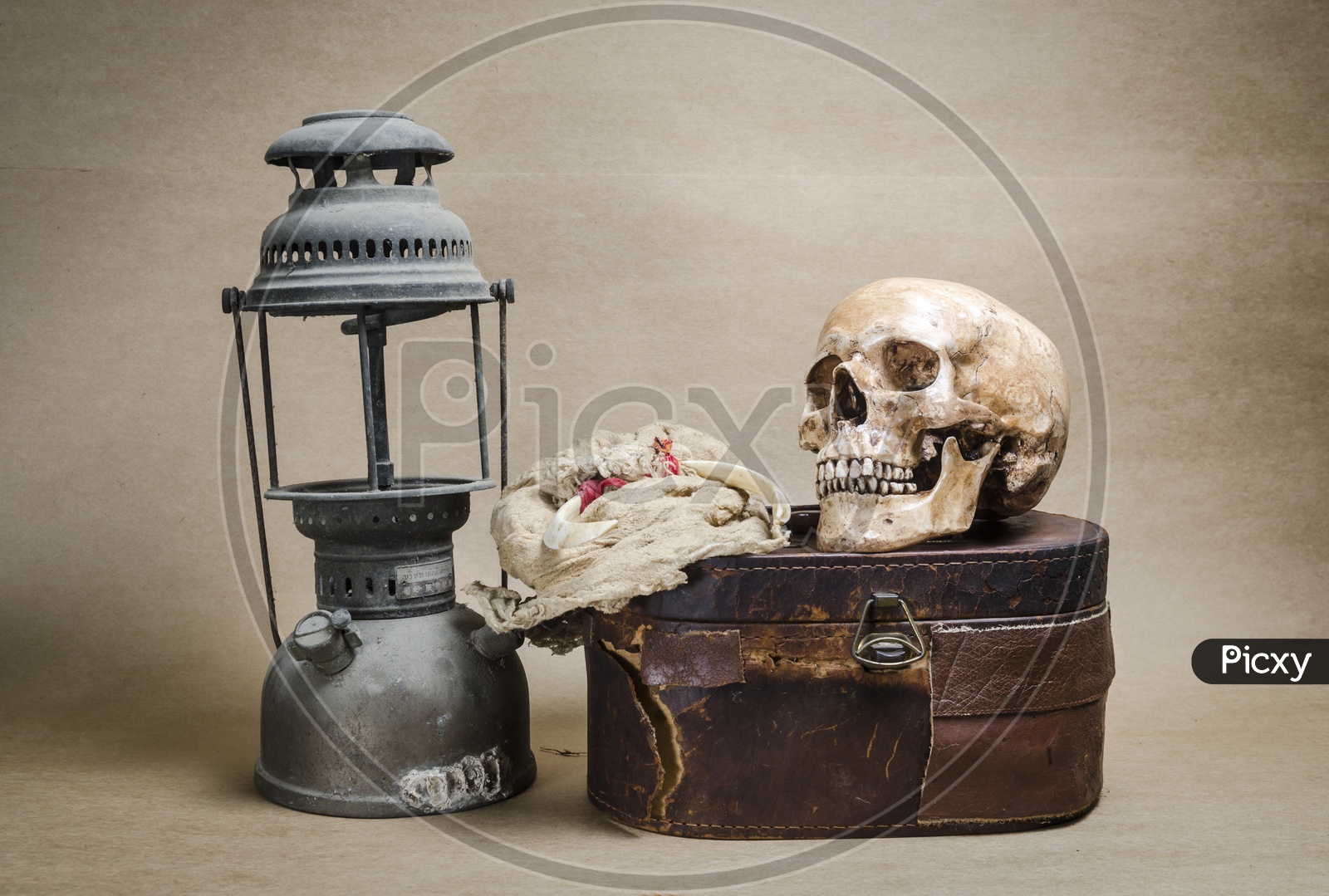 Still life with human skull and lantern