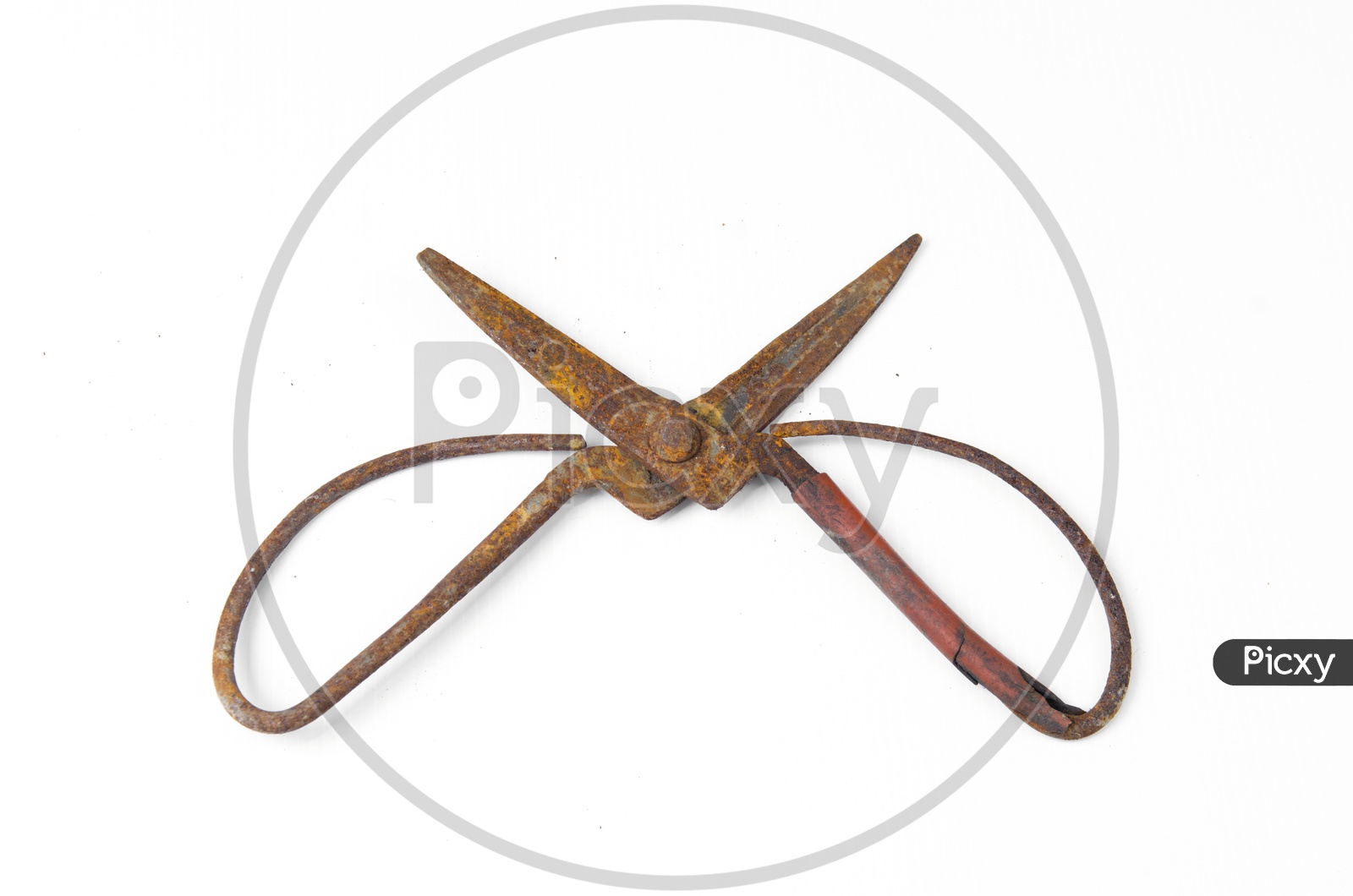 Rusted Iron Scissors