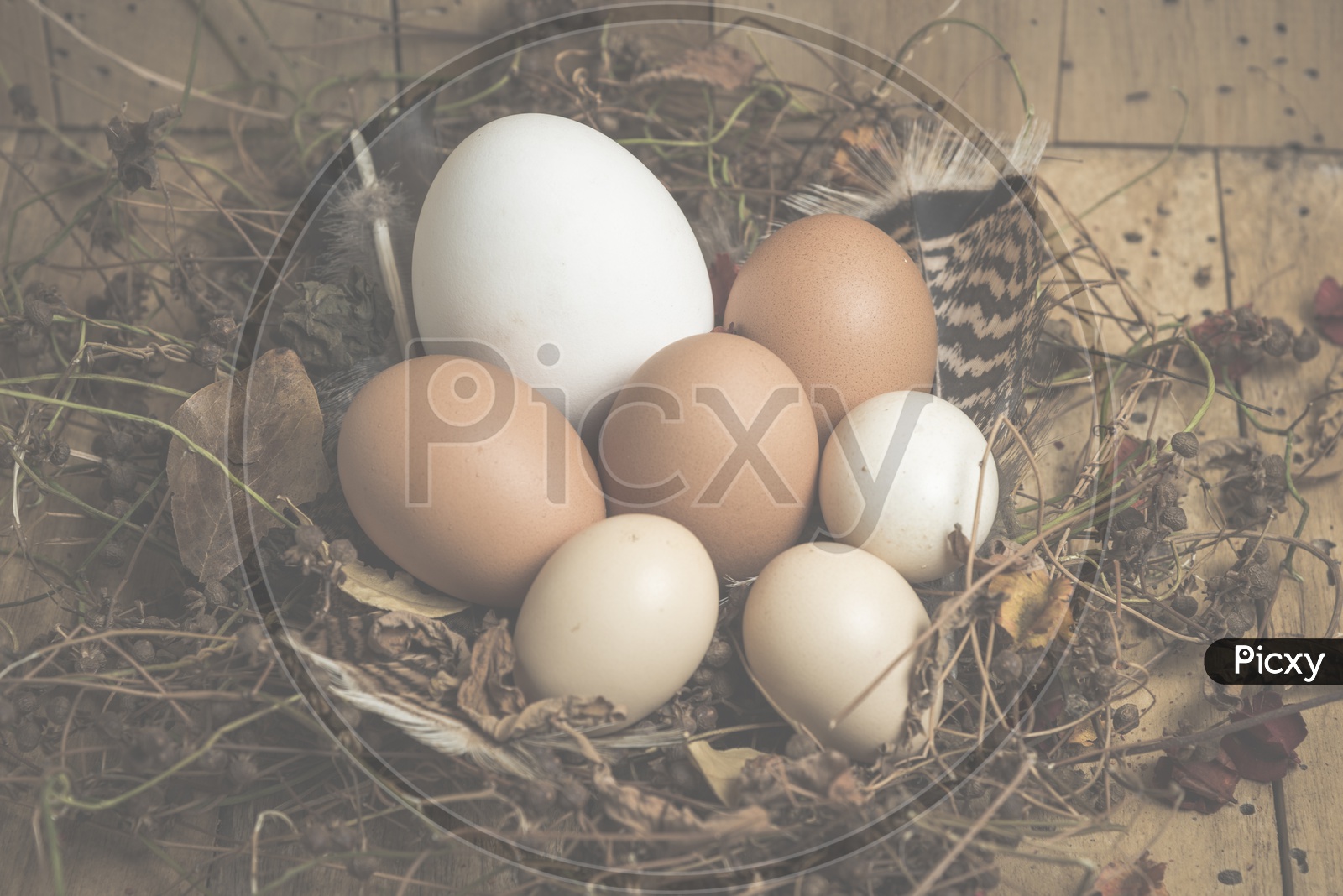 Easter eggs in a basket with wood background, vintage filtered Images