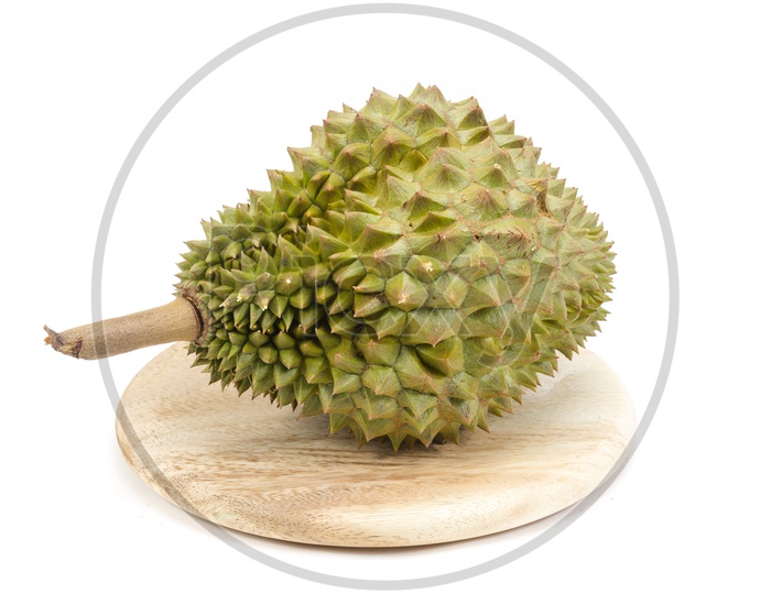 Nontoxic Durian Fruit On an isolated White Background