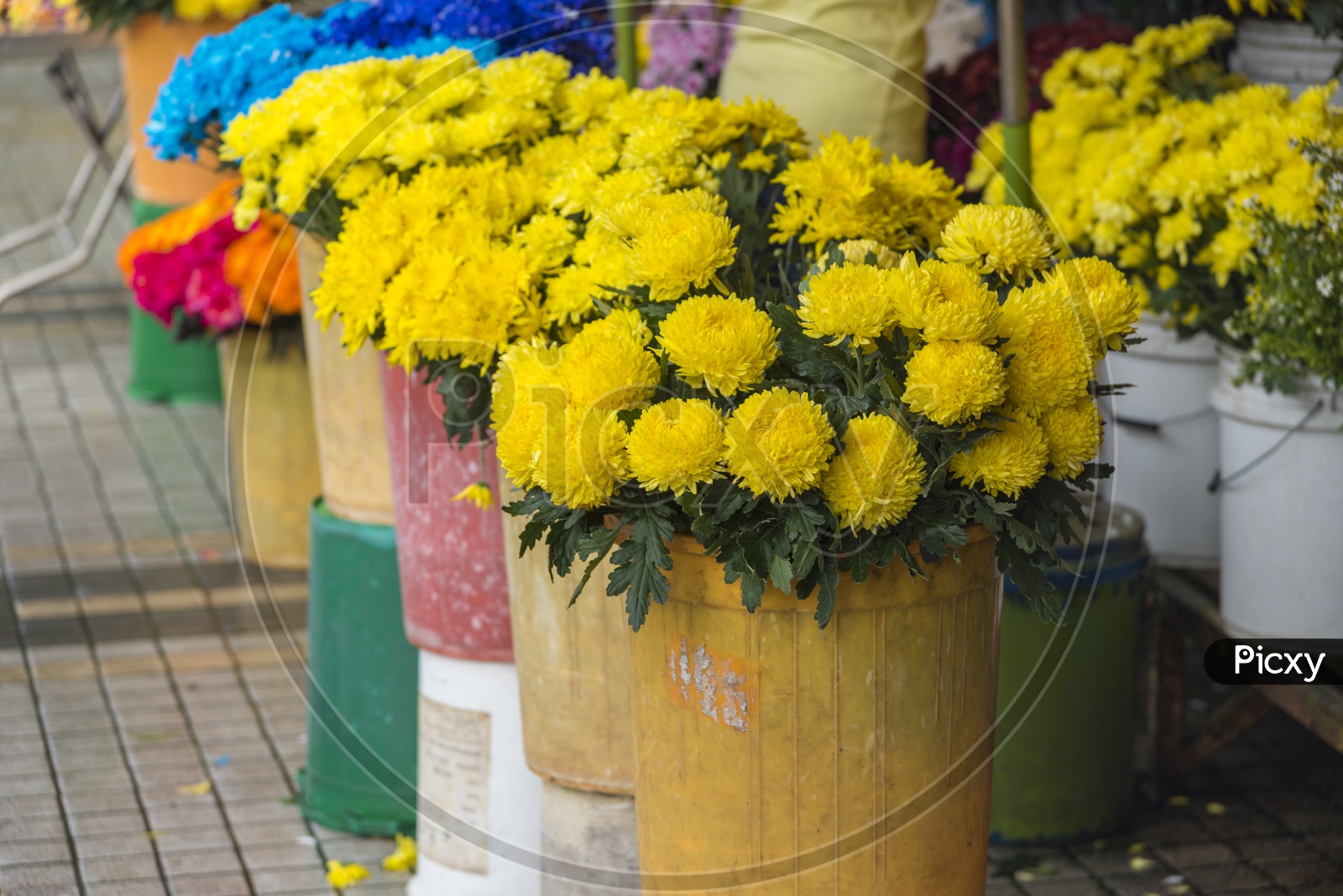 Yellow flowers in the Thailand bouquet stall