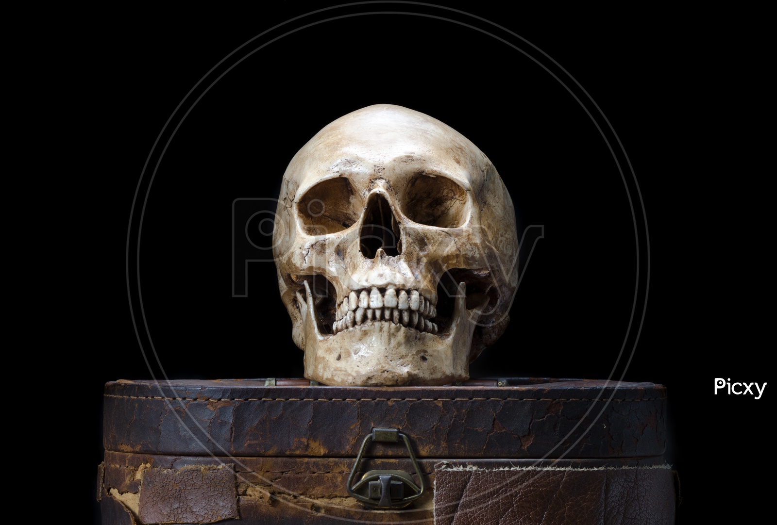 Still life with human skull placed in the old leather box isolated on black background