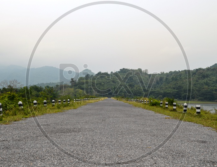 old road surface with nature Background
