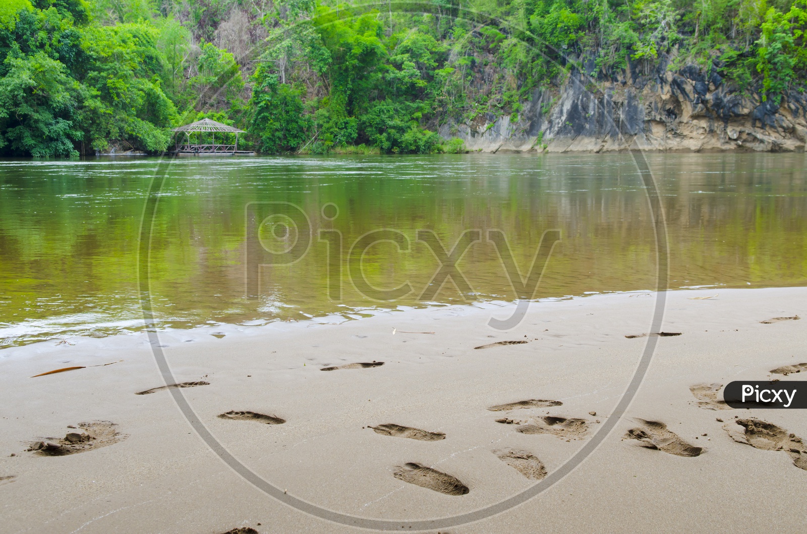 Footsteps alongside a Stream in the tropical forest.