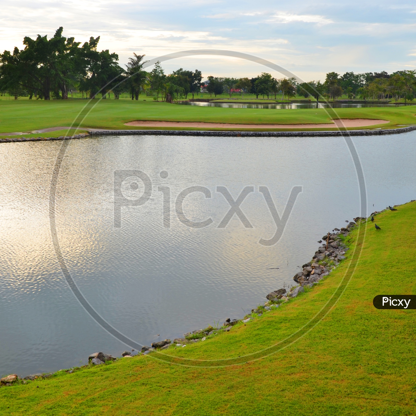 Lake at the green golf course in Thailand