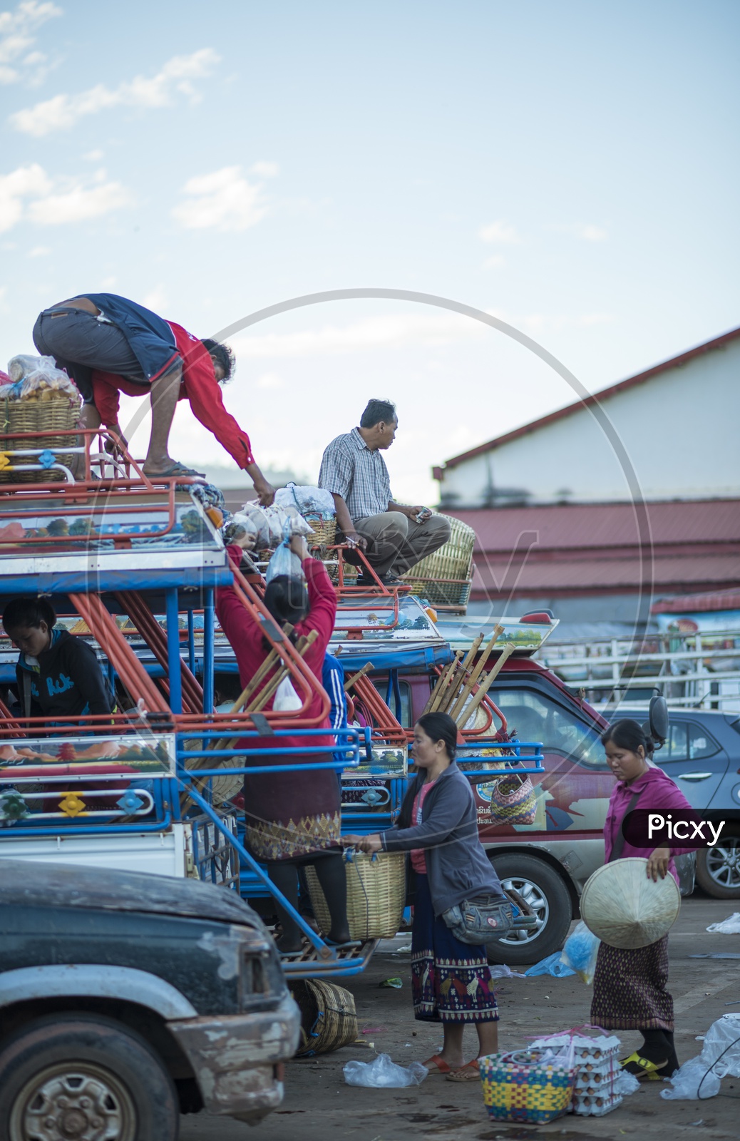 Local People loading Fishes into Vehicles