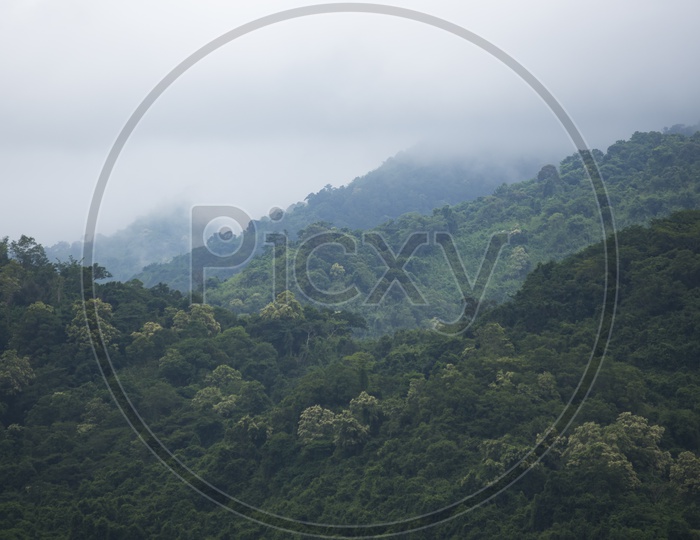 Landscape of mystic tropical rain forest, Khao Yai National Park, Thailand