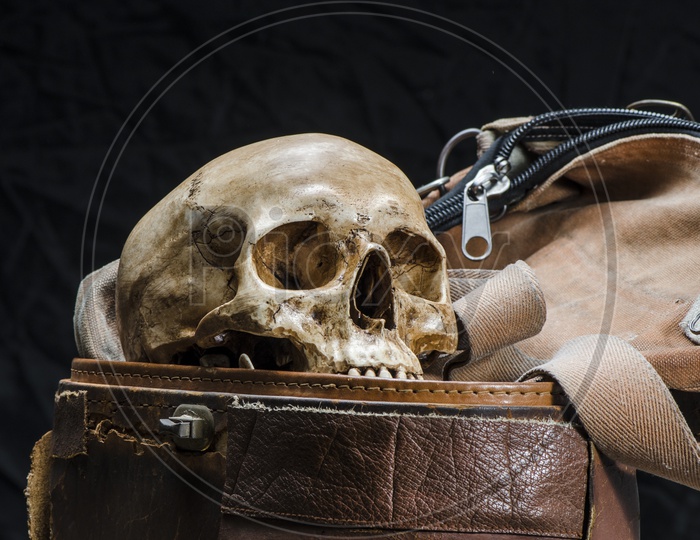 Still life with human skull are placed in old leather box isolated on black background