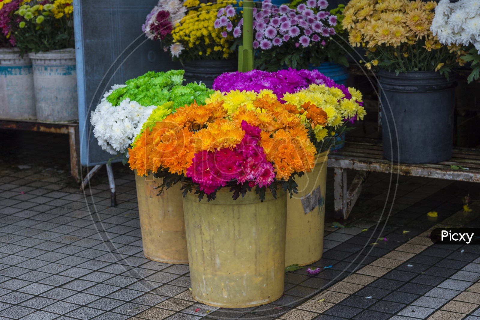 Yellow and mixed color flowers in the Thailand bouquet stall