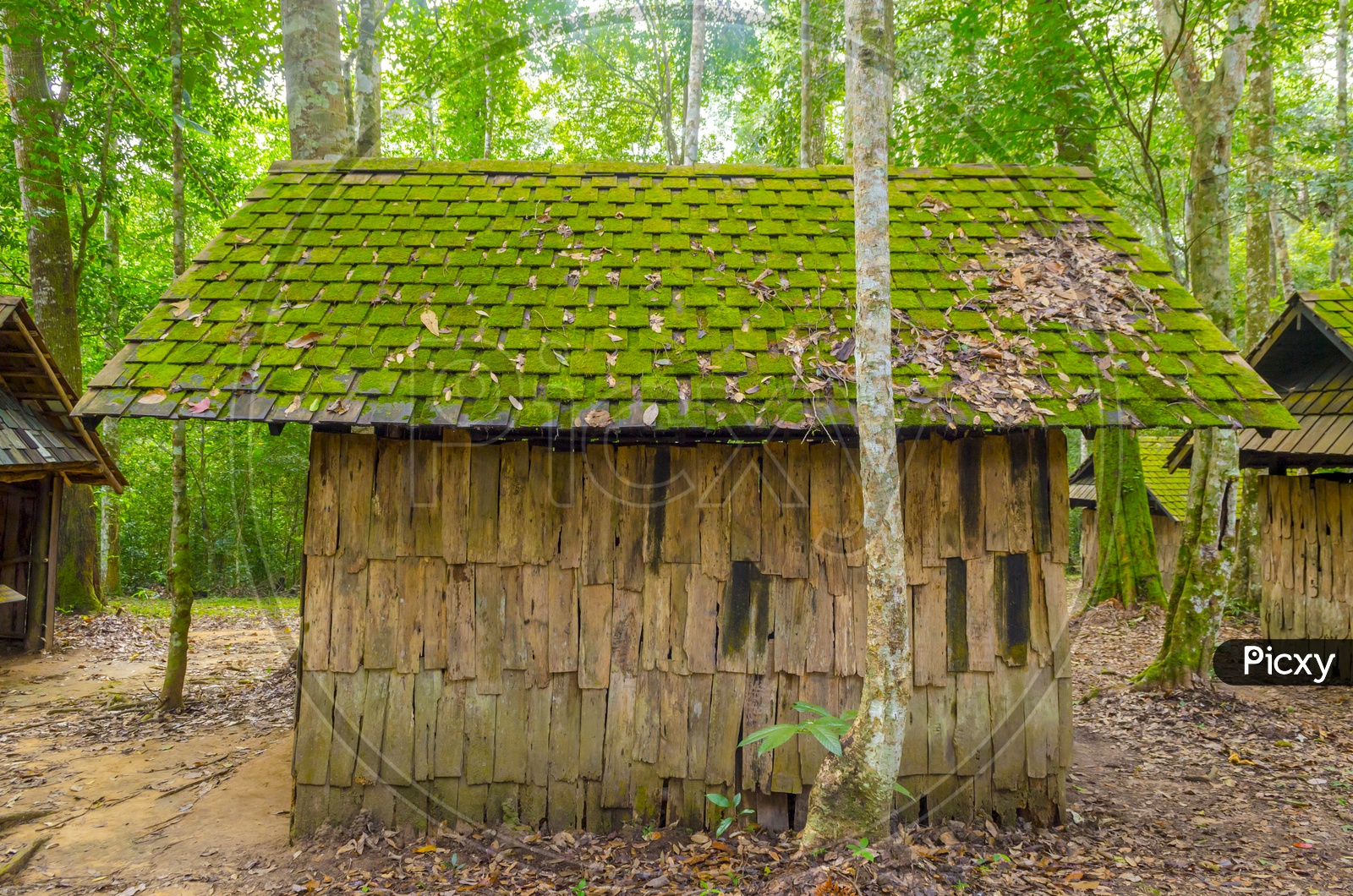Wooden Huts With Green Algae Over Them at Phu hin Rong Kla National Park, Thailand