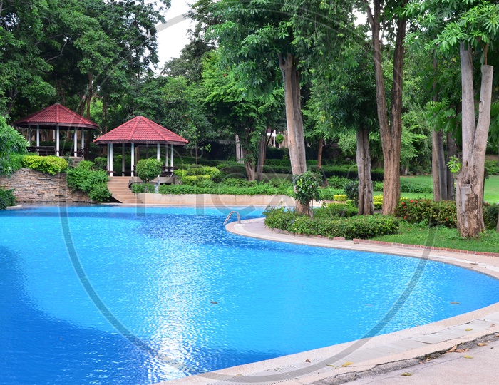 An Empty Swimming Pool In a Hotel or Resort