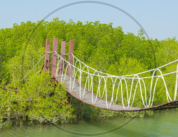 A Wooden Suspension bridge in Bali mangrove forest
