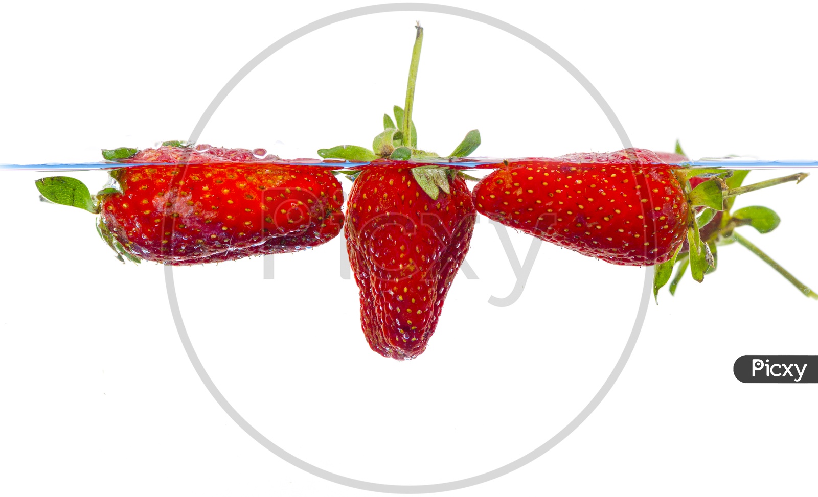 Fresh Strawberries Dropped Into Water With Splash  Over an Isolated White Background