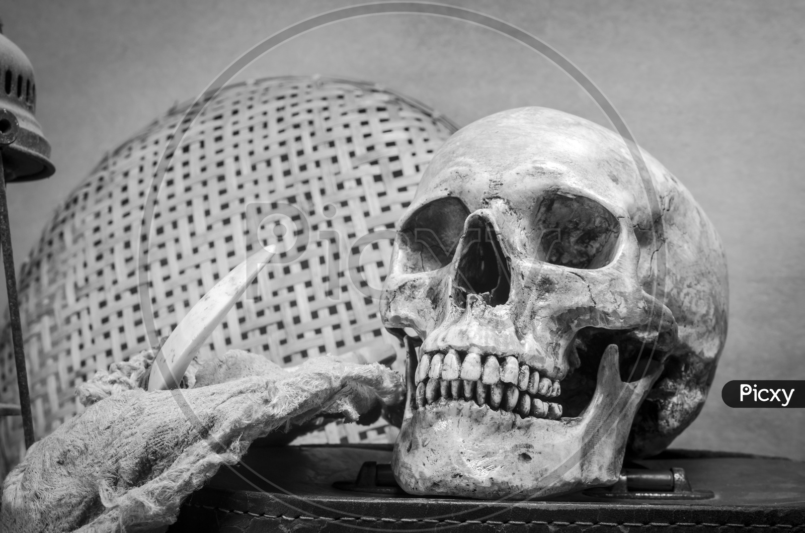 Still life with human skull with old Items in black and white Filter