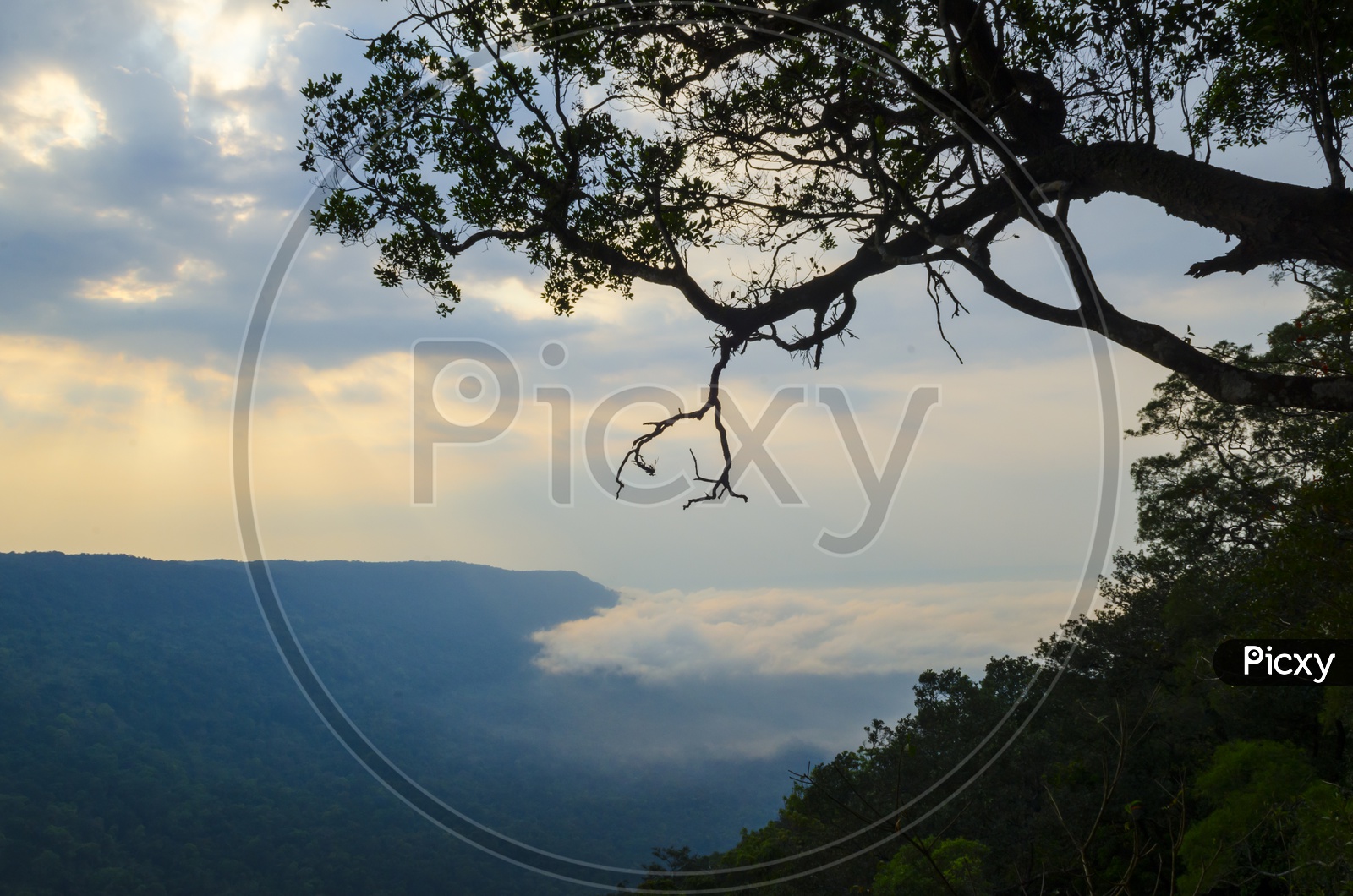 Panoramic  View Pha Deaw Dai Cliffs of The Khao Yai National Park in Thailand